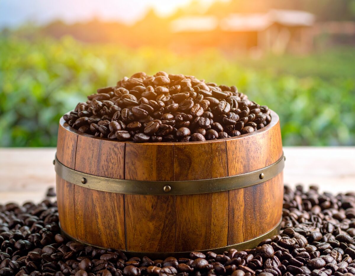 HARVESTED AT ALTITUDE. PERFECTED BY TIME.